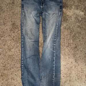 Cody james boot cut blue